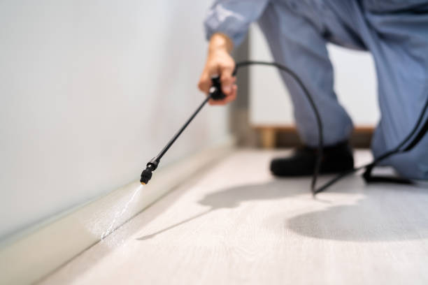 Licensed Pest Control service in Bridgeport, WA - Show Me Pest Control